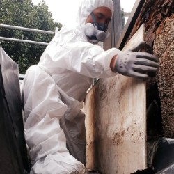 Asbestos-removal-IN-AUCKLAND